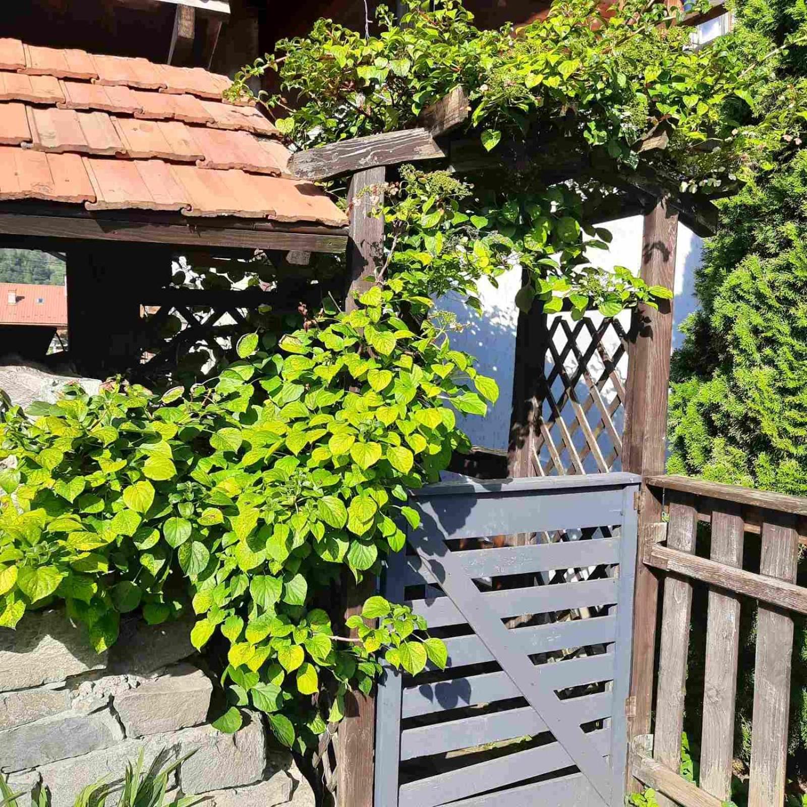 Sadyba Iryna Садиба Ірина Tukhlya Exterior photo