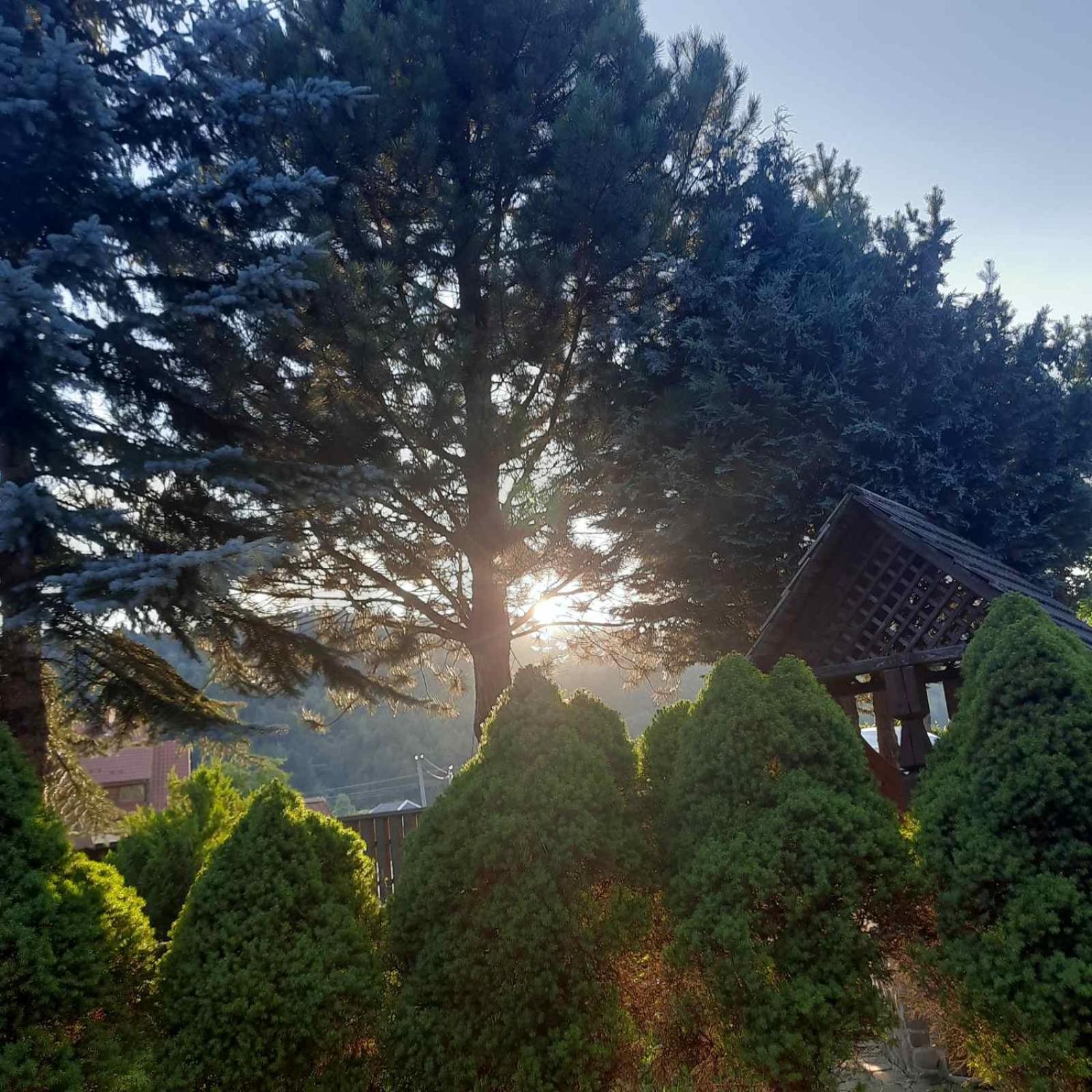Sadyba Iryna Садиба Ірина Tukhlya Exterior photo