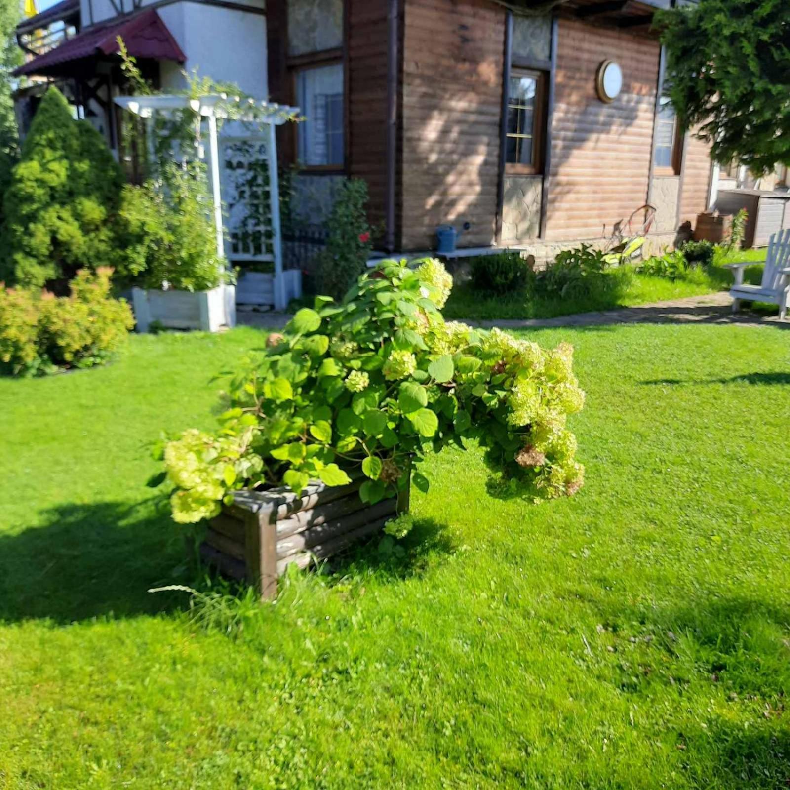 Sadyba Iryna Садиба Ірина Tukhlya Exterior photo